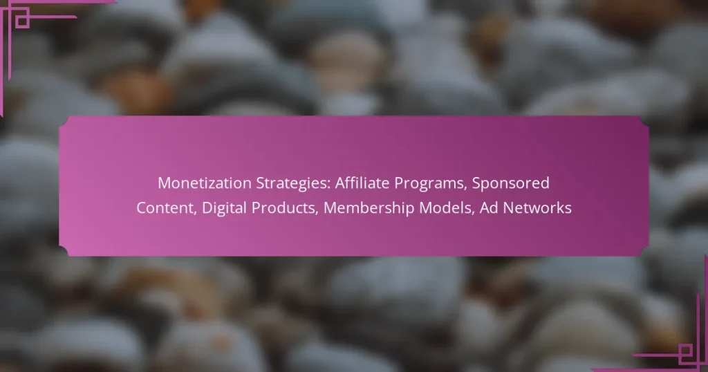 Monetization Strategies: Affiliate Programs, Sponsored Content, Digital Products, Membership Models, Ad Networks