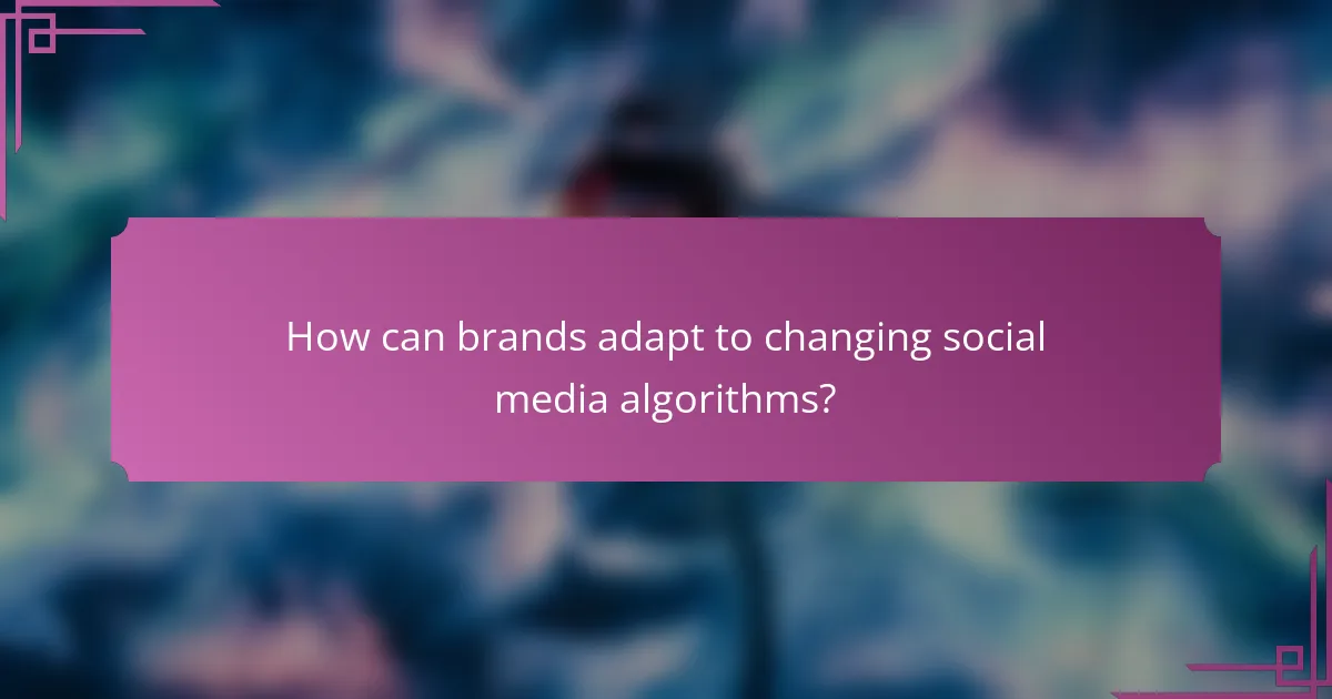 How can brands adapt to changing social media algorithms?