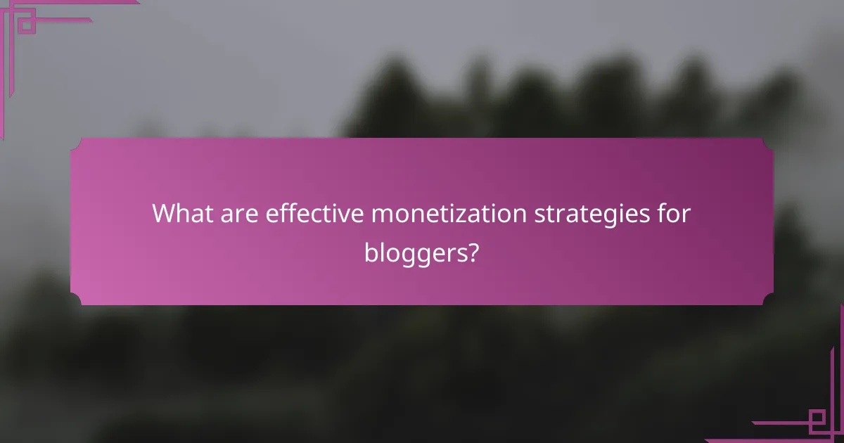 What are effective monetization strategies for bloggers?