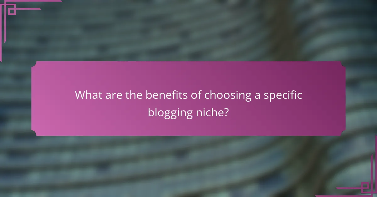 What are the benefits of choosing a specific blogging niche?