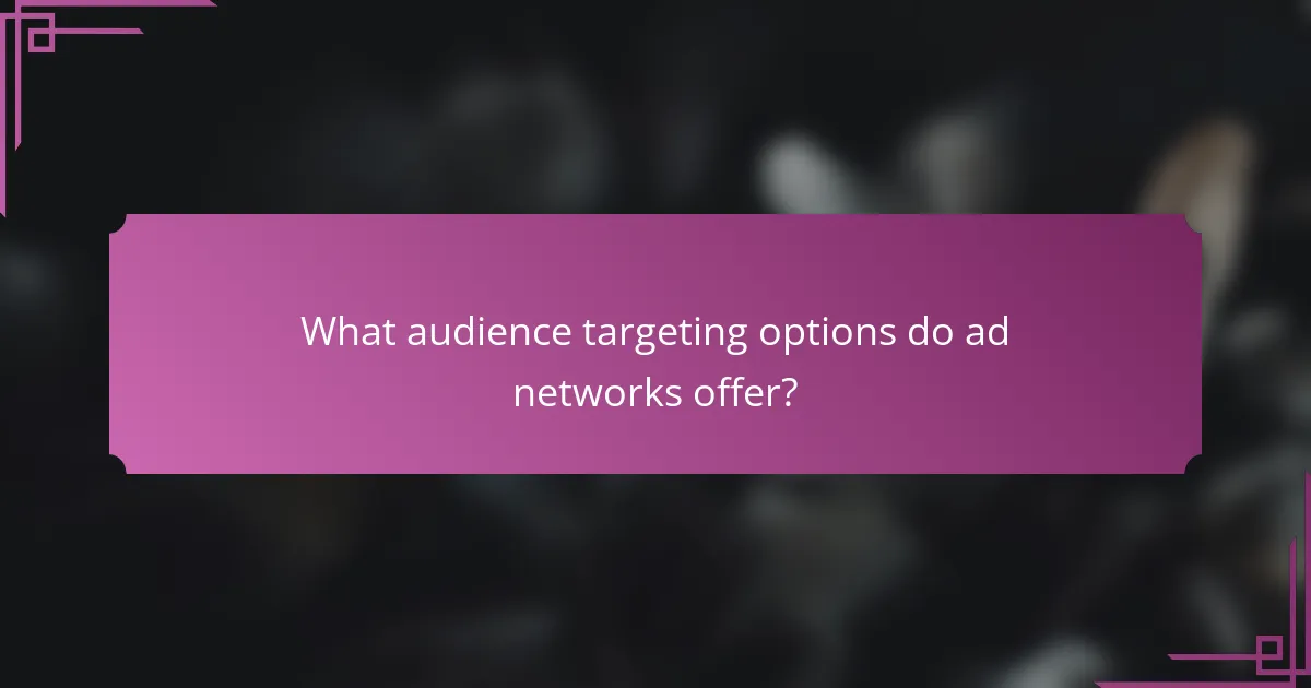 What audience targeting options do ad networks offer?