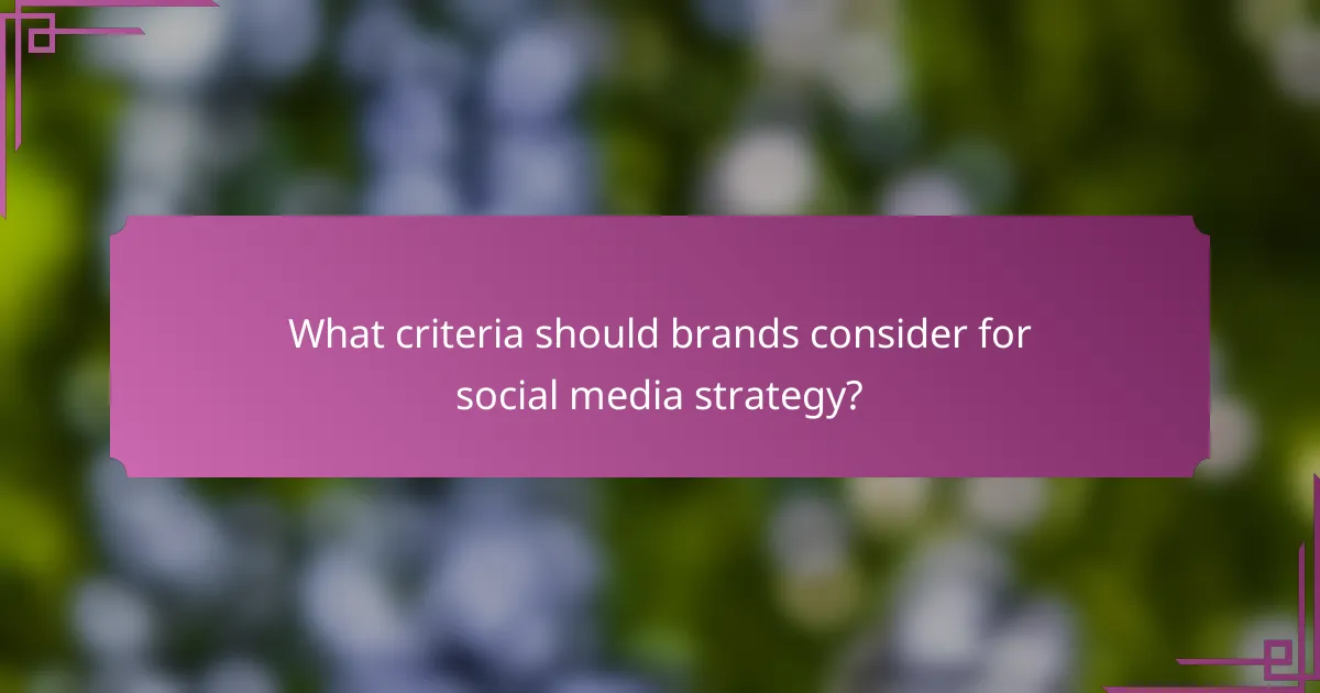 What criteria should brands consider for social media strategy?